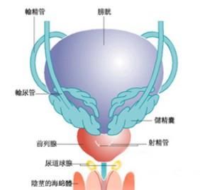 膀胱炎的症状